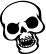 icon check