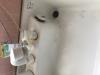 洗面排水のつまりの原因