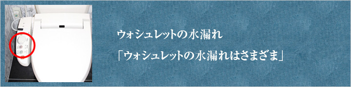 ウォシュレットの水漏れはさまざま