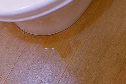 床に水溜りができる