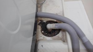 掃除 洗濯 口 機 排水 やっちゃダメ！ドラム式洗濯機の排水フィルターに水切りネットがNGな理由とは？