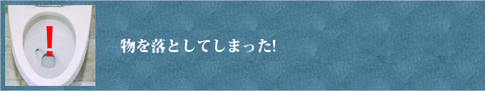 トイレに物を落とした