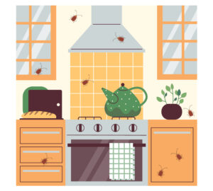 キッチン周りが不衛生なことで害虫や雑菌が発生している
